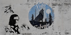 Vida salvaje, Almanzora, 2014 